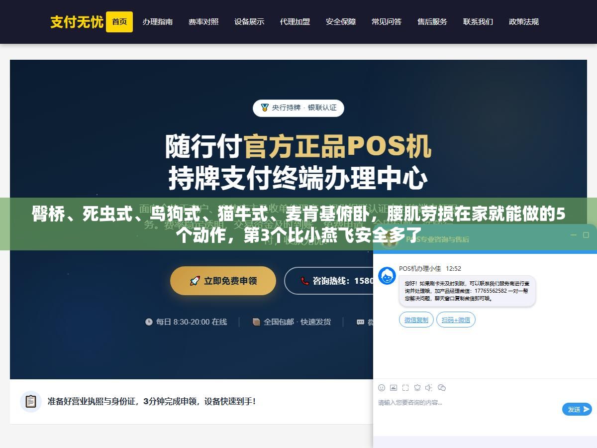 1 - 臀桥、死虫式、鸟狗式、猫牛式、麦肯基俯卧，腰肌劳损在家就能做的5个动作，第3个比小燕飞安全多了 - UC建站系统