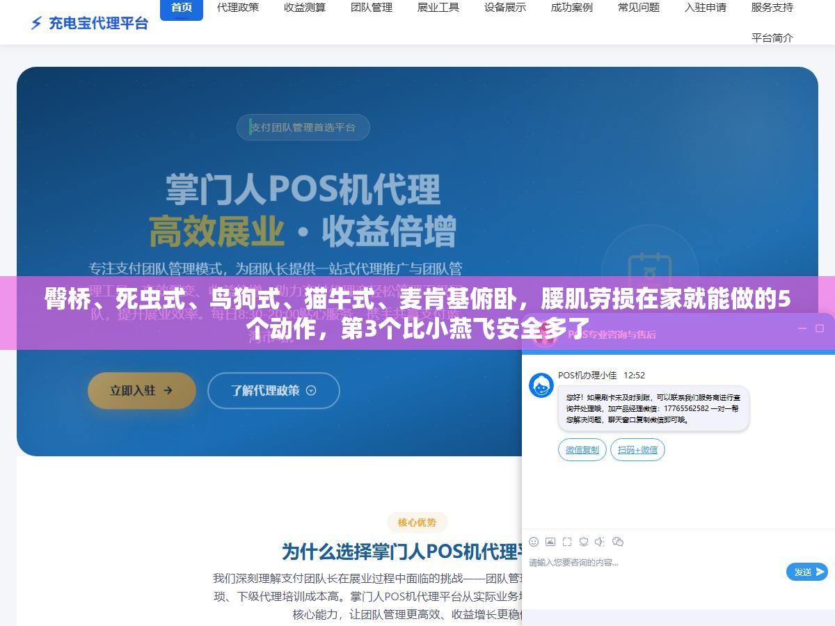 2 - 臀桥、死虫式、鸟狗式、猫牛式、麦肯基俯卧，腰肌劳损在家就能做的5个动作，第3个比小燕飞安全多了 - UC建站系统