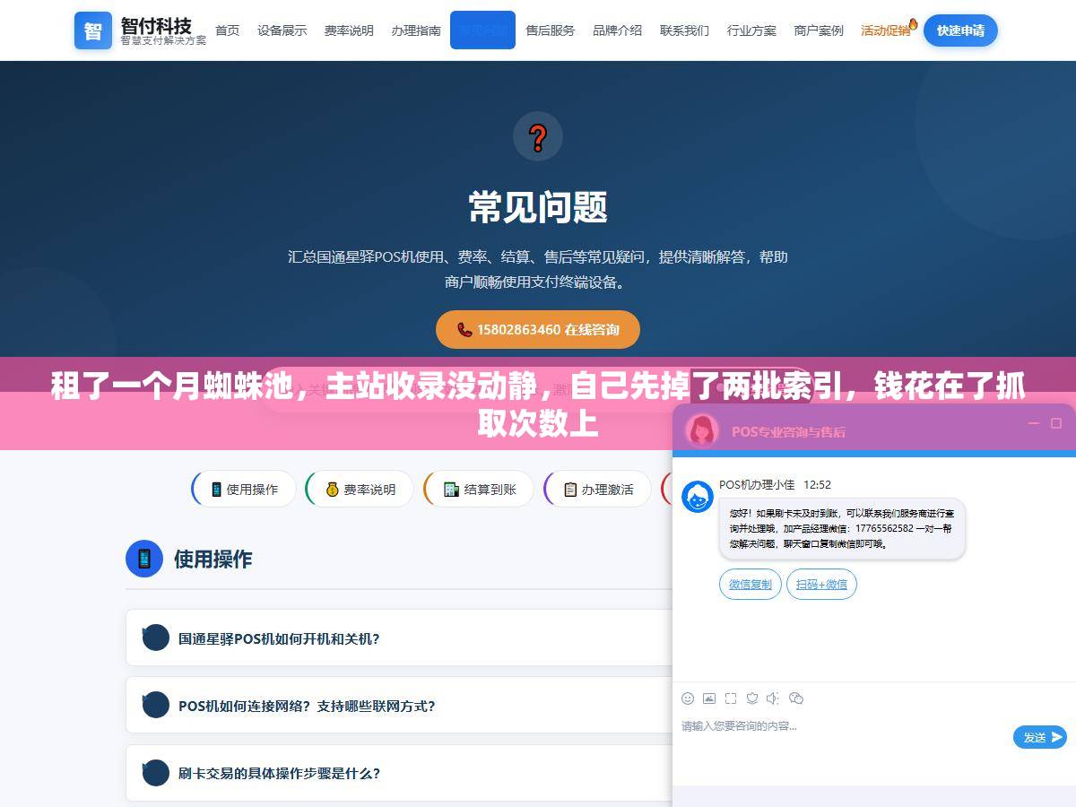 租了一个月蜘蛛池，主站收录没动静，自己先掉了两批索引，钱花在了抓取次数上
