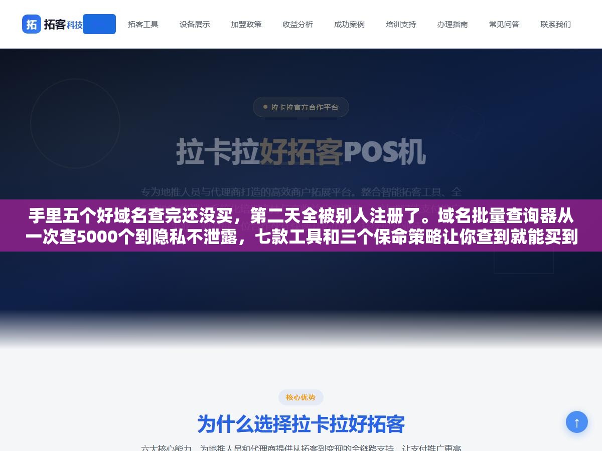 手里五个好域名查完还没买，第二天全被别人注册了。域名批量查询器从一次查5000个到隐私不泄露，七款工具和三个保命策略让你查到就能买到