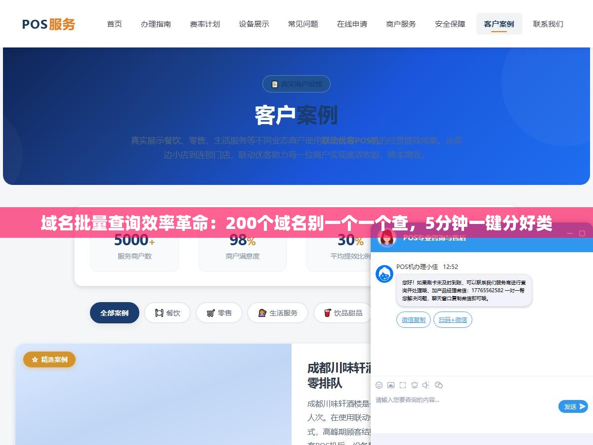 域名批量查询效率革命：200个域名别一个一个查，5分钟一键分好类