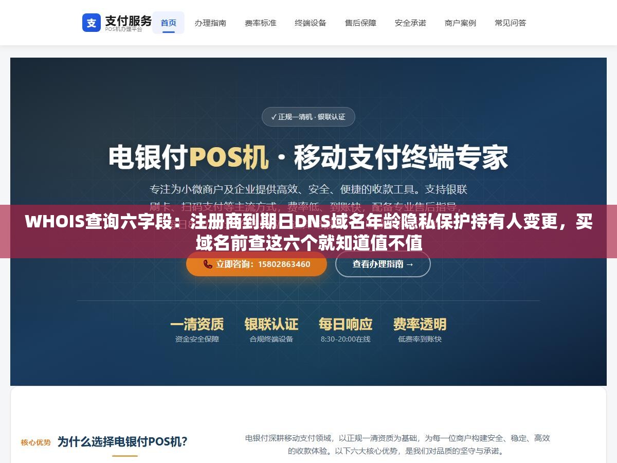 WHOIS查询六字段：注册商到期日DNS域名年龄隐私保护持有人变更，买域名前查这六个就知道值不值