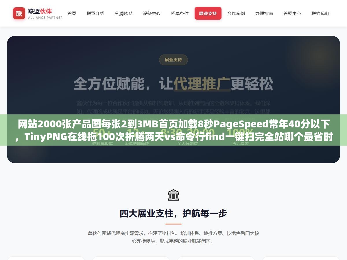 网站2000张产品图每张2到3MB首页加载8秒PageSpeed常年40分以下，TinyPNG在线拖100次折腾两天vs命令行find一键扫完全站哪个最省时间
