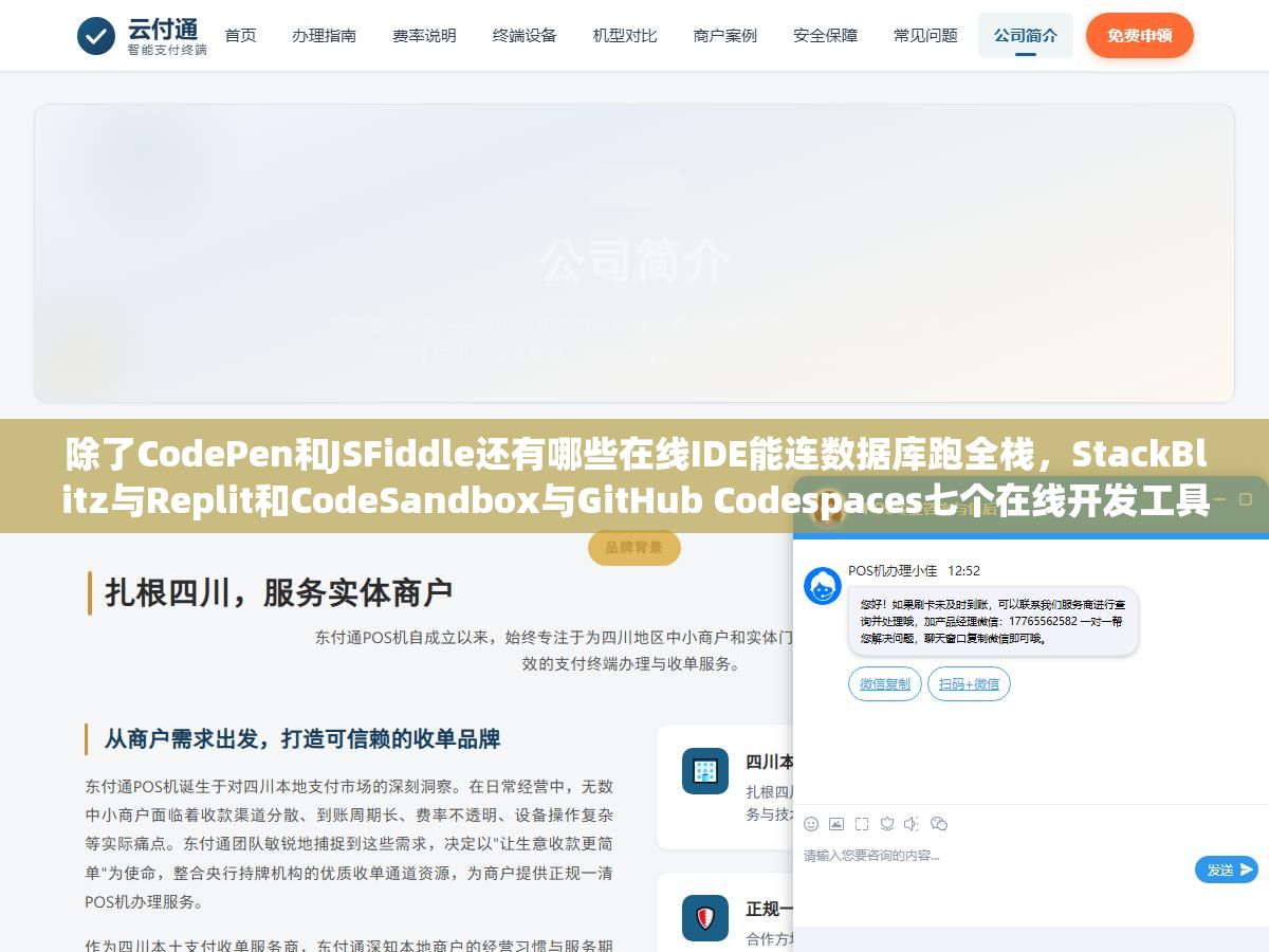 除了CodePen和JSFiddle还有哪些在线IDE能连数据库跑全栈，StackBlitz与Replit和CodeSandbox与GitHub Codespaces七个在线开发工具跑同一个Vue项目性能速度对比